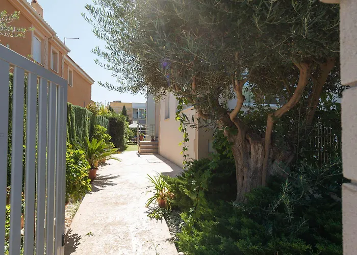 El Olivo بويينسا